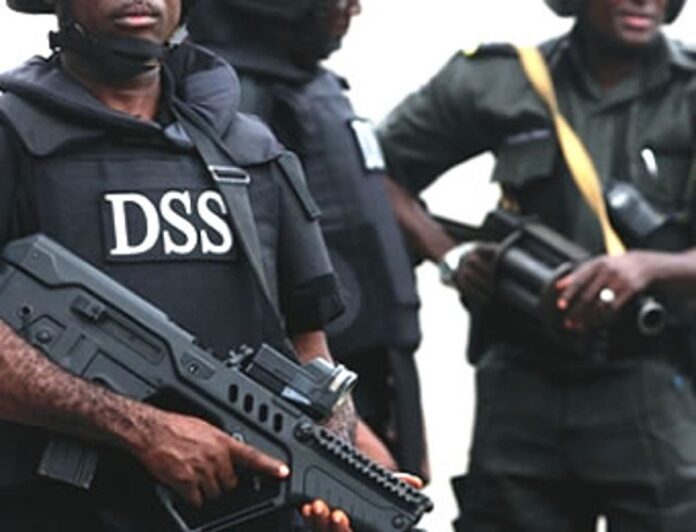 dss1.jpg