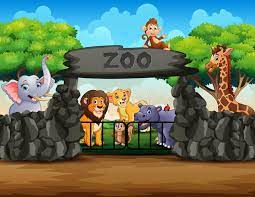 zoo