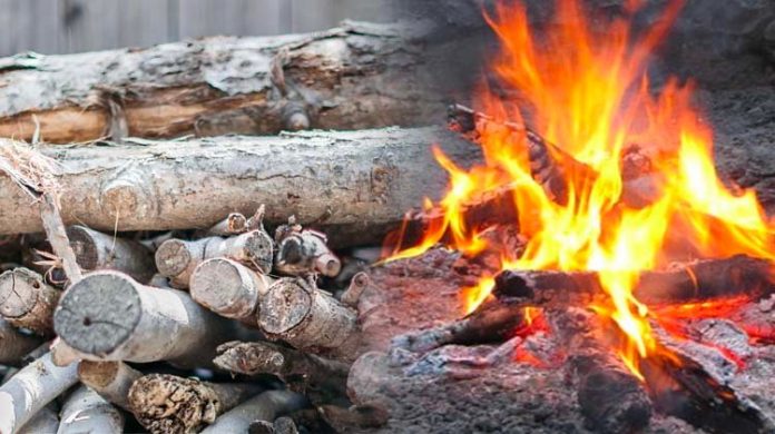 Firewood