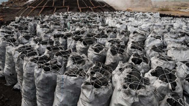 charcoal-export-640x360