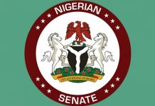 Budget: Senate Fumes Over Rising Salary Despite Embargo On Recruitment