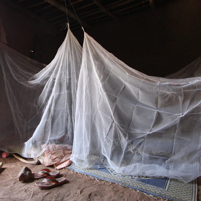 mosquito net