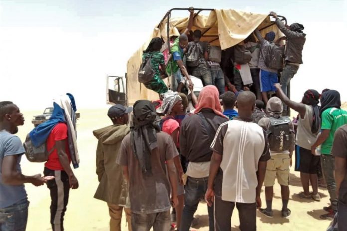 niger-1_0