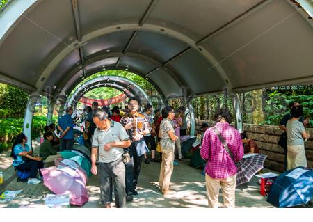 parents-try-to-find-matches-for-their-unmarried-adult-children-at-the-marriage-market-in-the-park-at-peoples-square-in-shanghai-2bk5dfy