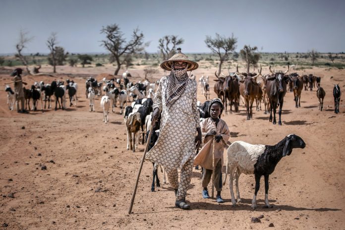 FULANI5
