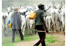 Killer Herdsmen Devise New Tactics To Attack Communities –Benue Groups