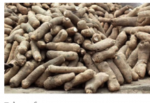 Nigeria Leading Globally In Yam, Cassava, Rice Production – FG