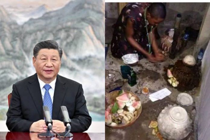 china herbalist