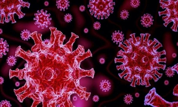 Omicron virus