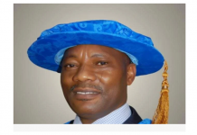 Insecurity Driving Nigerian Students Abroad ā UNIJOS VC