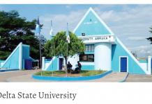 Abductors Demand N5m For Four Kidnapped DELSU Students, Travellers