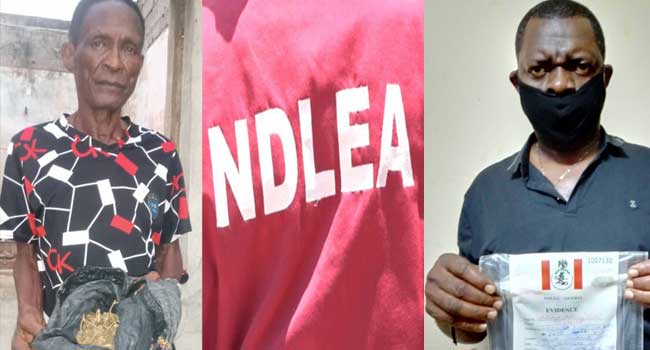 A photo combination of suspects arrested by NDLEA operatives in Edo State. Credit: NDLEA A photo combination of suspects arrested by NDLEA operatives in Edo State. Credit: NDLEA