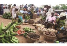 Can Nigeria Tackle Imminent Food Crisis?