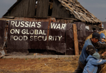 Russian-Ukraine War Hits Zimbabwe’s Agriculture Sector, Potentially Causing Food Crisis : UN Report