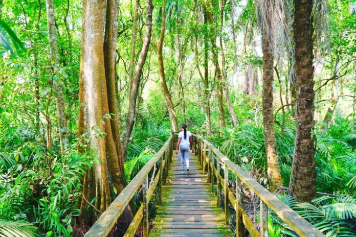 Best Things to Do in Nigeria