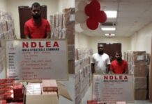 NDLEA Busts Massive Tramadol Shipment Of Almost N4bn At Lagos Airport