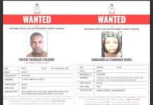 NDLEA Freezes N9.84bn Linked To Suspected Drug Kingpin, Declares Four Wanted