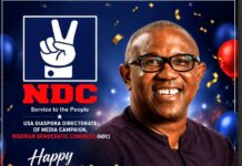 NDC Diaspora USA Felicitates Peter Obi at 65, Reaffirms Support for New Nigeria Vision
